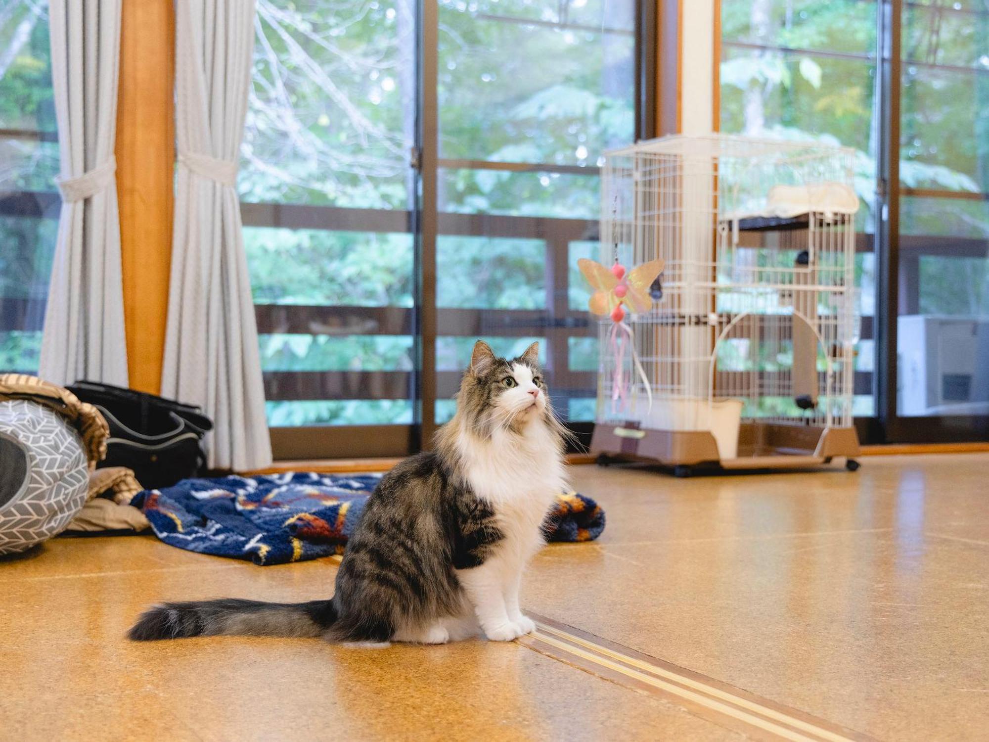 Вилла Labo Land Kurohime Shinano  Экстерьер фото